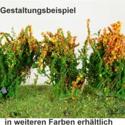 3 blühende Sträucher verschiedene Farben