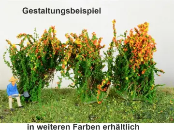 3 blühende Sträucher verschiedene Farben