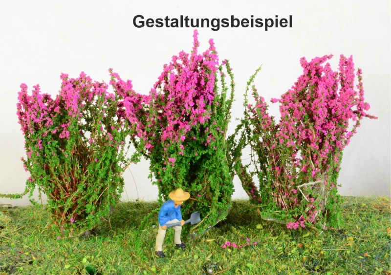 3 blühende Sträucher verschiedene Farben