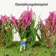 3 blühende Sträucher verschiedene Farben
