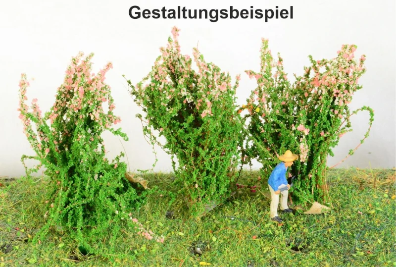 3 blühende Sträucher verschiedene Farben