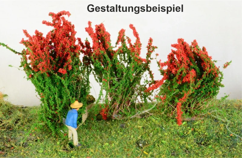 3 blühende Sträucher verschiedene Farben