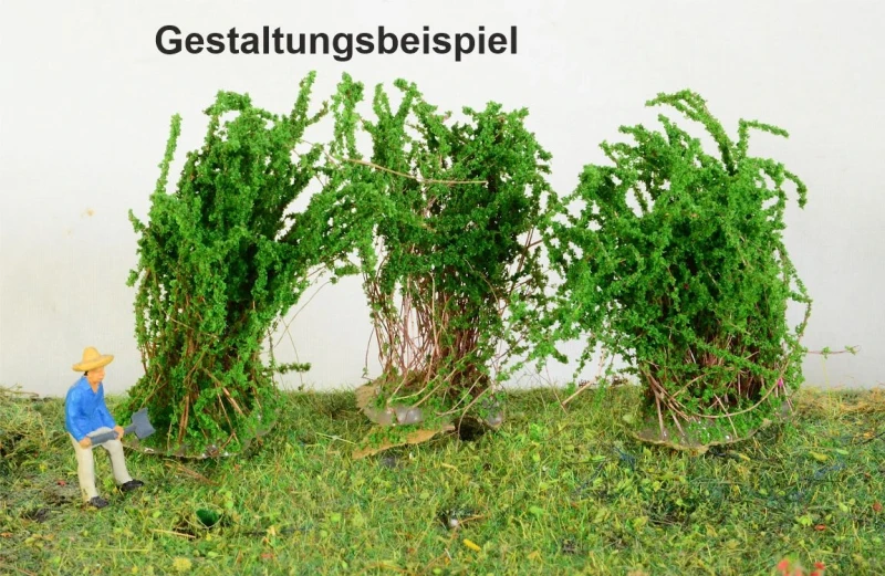 3 blühende Sträucher verschiedene Farben