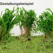 3 blühende Sträucher verschiedene Farben