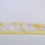 Schilf verschiedene Farben