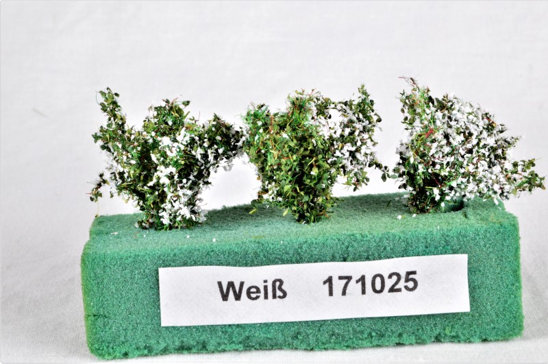 Sträucher 3er-Pack