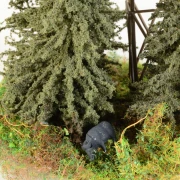 Feldinsel Hochsitz (Fichten)