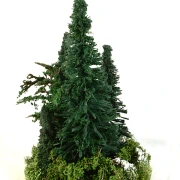 Feldinsel - Rehbock + Tannen