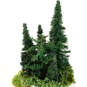 Feldinsel - Rehbock + Tannen