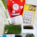 Geschenkset Landschaft Sommer