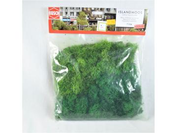 Islandmoos grün