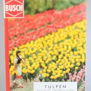 Tulpen Bausatz