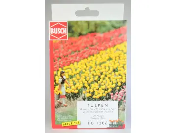 Tulpen Bausatz