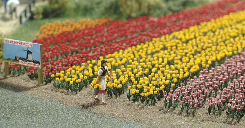 Tulpen Bausatz