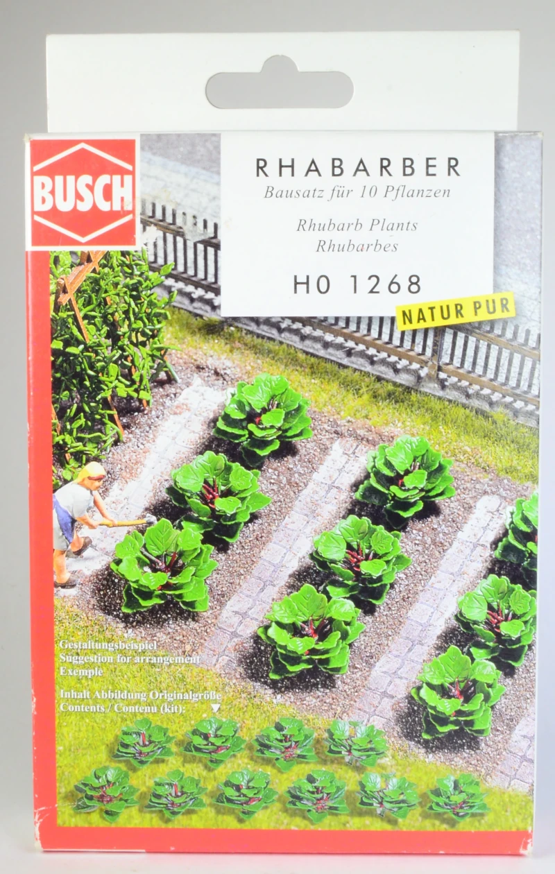 Rhabarber Bausatz