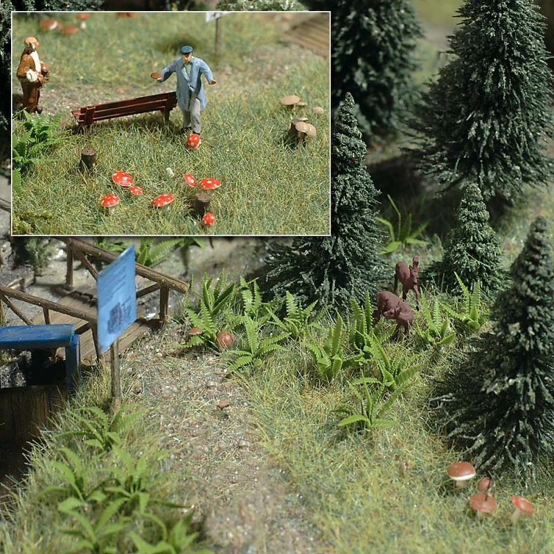 Farne + Pilze Bausatz