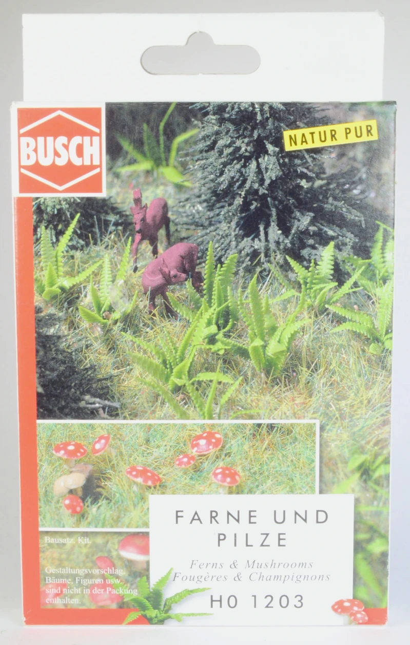 Farne + Pilze Bausatz