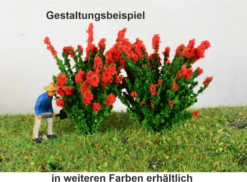 2 blühende Sträucher verschiedene Farben