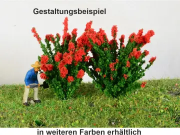 2 blühende Sträucher verschiedene Farben