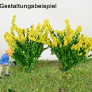 2 blühende Sträucher verschiedene Farben