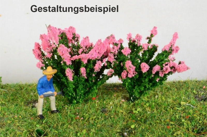 2 blühende Sträucher verschiedene Farben