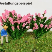 2 blühende Sträucher verschiedene Farben