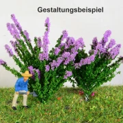 2 blühende Sträucher verschiedene Farben