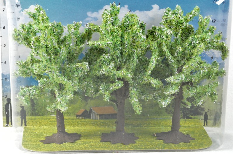 Obstbäume weiß blühend