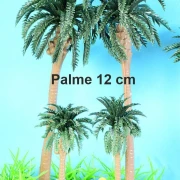 Palme