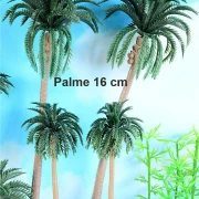Palme