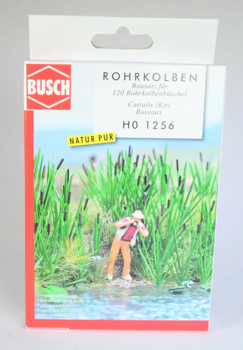 Rohrkolben Bausatz