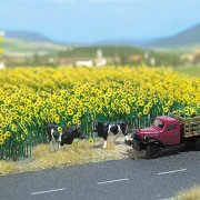 Sonnenblumen Bausatz