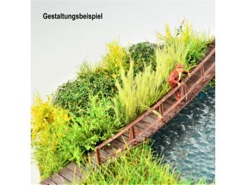 Schilf verschiedene Farben