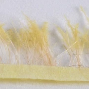Schilf verschiedene Farben