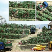 Weinreben Bausatz