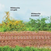 Wildwuchsmatte