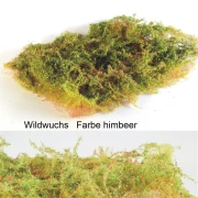 Wildwuchsmatte
