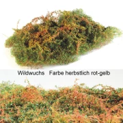 Wildwuchsmatte