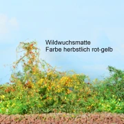 Wildwuchsmatte