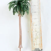 Palme