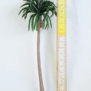 Palme