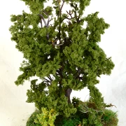 Feldinsel - Ricke und Kitz