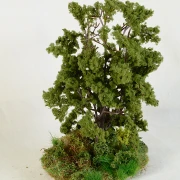 Feldinsel - Ricke und Kitz