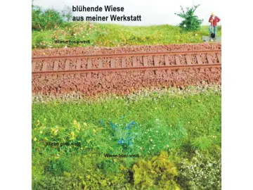 blühende Wiese