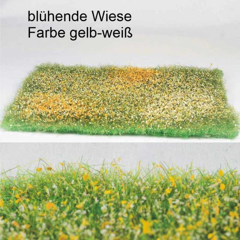 blühende Wiese