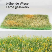 blühende Wiese