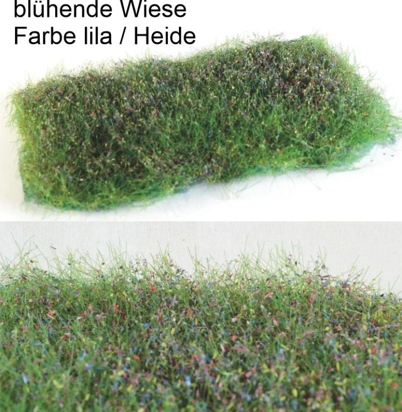 blühende Wiese