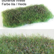 blühende Wiese