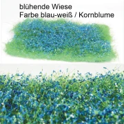 blühende Wiese