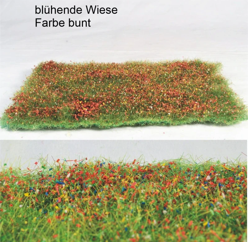 blühende Wiese